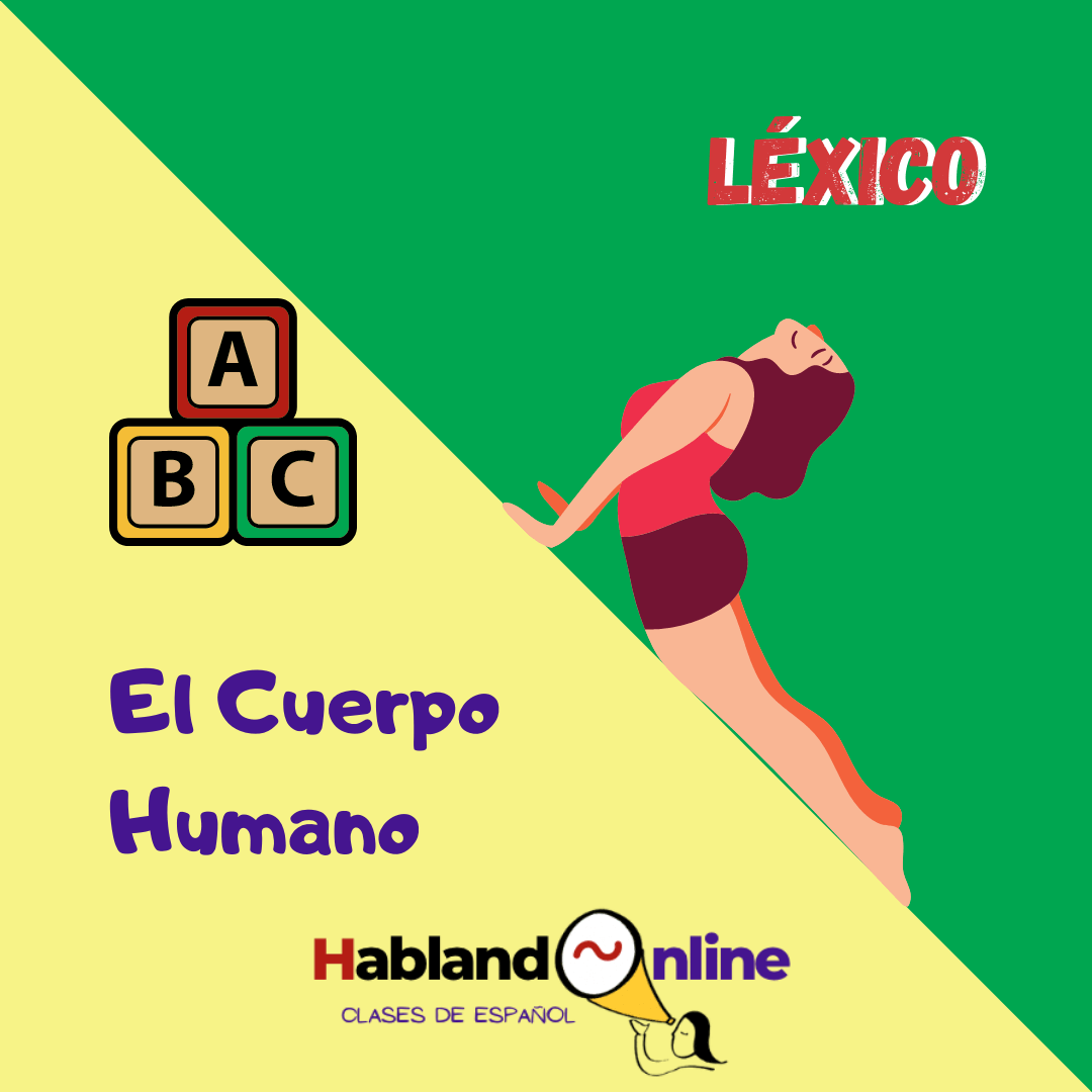 Vocabulario_El cuerpo humano